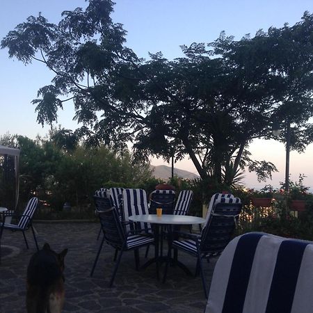 Villa Malandrino Guest House Agropoli Eksteriør billede